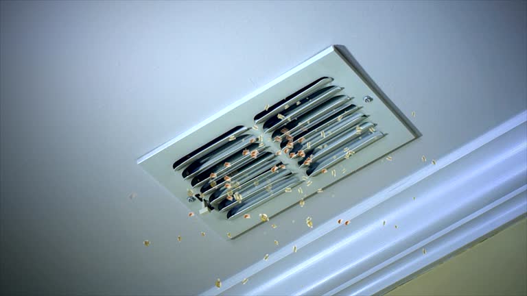 Best Best Air Duct Cleaning Company  in Winter Gardens, CA